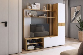 БЕРИ К1 Гостиная в Заречном - zarechnyy.mebel24.online | фото