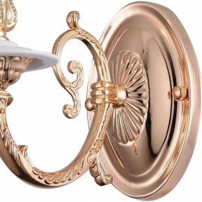 Бра Arte Lamp 8020 A8020AP-1WG в Заречном - zarechnyy.mebel24.online | фото 4