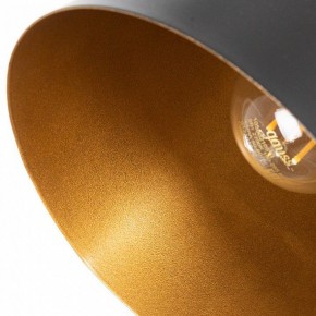 Бра Arte Lamp Thomas A7032AP-1BK в Заречном - zarechnyy.mebel24.online | фото 10