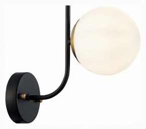 Бра EVOLUCE Ciane SLE1098-401-01 в Заречном - zarechnyy.mebel24.online | фото 3
