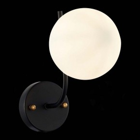 Бра EVOLUCE Ciane SLE1098-401-01 в Заречном - zarechnyy.mebel24.online | фото 4
