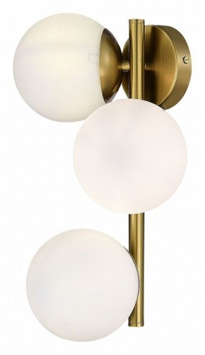 Бра EVOLUCE Fratta SLE1191-201-03 в Заречном - zarechnyy.mebel24.online | фото 4