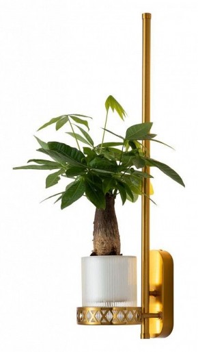 Бра Favourite Greenery 4050-1W в Заречном - zarechnyy.mebel24.online | фото 3