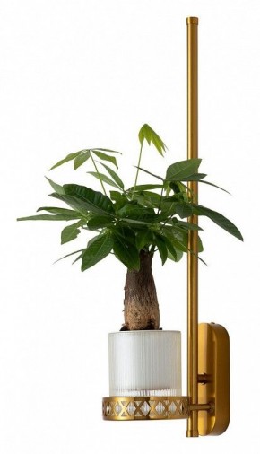 Бра Favourite Greenery 4050-1W в Заречном - zarechnyy.mebel24.online | фото 4