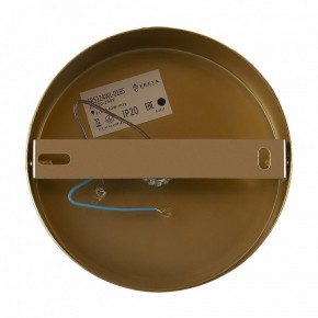 Бра Freya Zelda FR5124WL-01BS в Заречном - zarechnyy.mebel24.online | фото 6