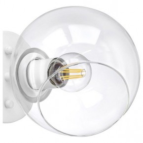 Бра Lightstar Beta 785616 в Заречном - zarechnyy.mebel24.online | фото 5