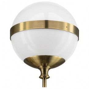 Бра Lightstar Globo 813611 в Заречном - zarechnyy.mebel24.online | фото 3