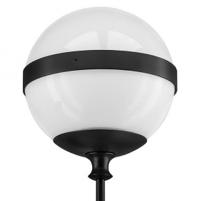 Бра Lightstar Globo 813617 в Заречном - zarechnyy.mebel24.online | фото 3