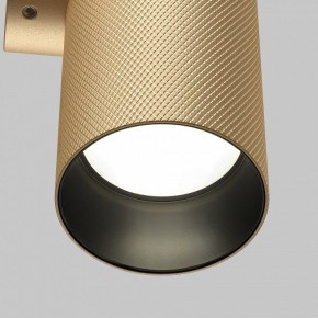 Бра Maytoni Artisan C080WL-02-GU10-MG в Заречном - zarechnyy.mebel24.online | фото 6