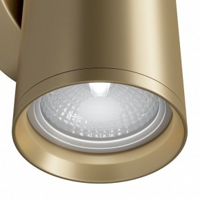 Бра Maytoni Focus S C068WL-02MG в Заречном - zarechnyy.mebel24.online | фото 4