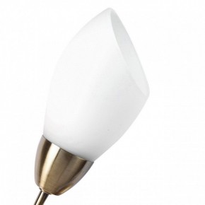 Бра MW-Light Нежность 7 356023001 в Заречном - zarechnyy.mebel24.online | фото 2