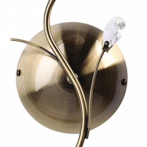 Бра MW-Light Нежность 7 356023001 в Заречном - zarechnyy.mebel24.online | фото 3