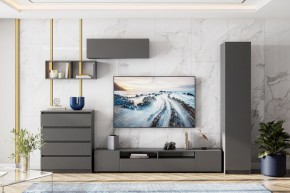 ДЕНВЕР Пенал (Графит серый) в Заречном - zarechnyy.mebel24.online | фото 4