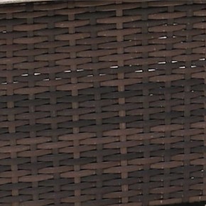 Диван-трансформер из искусственного ротанга AFM-320B Brown в Заречном - zarechnyy.mebel24.online | фото 2