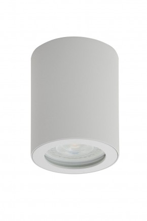 DK3007-WH Накладной светильник влагозащ., IP 44, 15 Вт, GU10, белый, алюминий в Заречном - zarechnyy.mebel24.online | фото 1