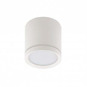 DK4016-WH Светильник накладной IP 20, 5 Вт, LED 3000, белый, алюминий/акрил в Заречном - zarechnyy.mebel24.online | фото 2