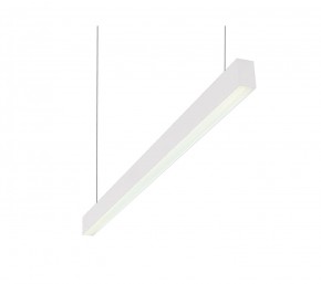 DK9124-WH Линейный светильник 30W 1250mm 4000K, белый в Заречном - zarechnyy.mebel24.online | фото 1