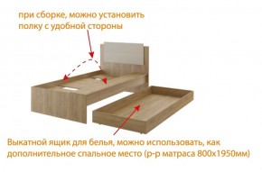 Дуглас подростковая (модульная) в Заречном - zarechnyy.mebel24.online | фото 5