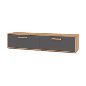 ФЛОРИДА Ф31 Тумба ТВ (дуб золотой/графит) в Заречном - zarechnyy.mebel24.online | фото