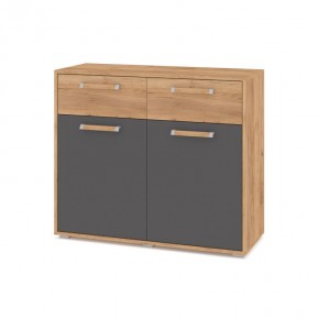 ФЛОРИДА Ф42 Комод (дуб золотой/графит) в Заречном - zarechnyy.mebel24.online | фото