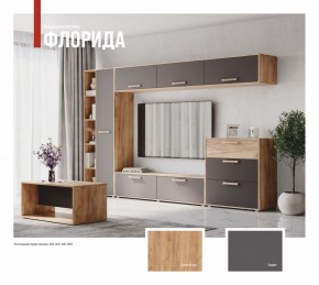 ФЛОРИДА Гостиная (модульная) дуб золотой/графит в Заречном - zarechnyy.mebel24.online | фото