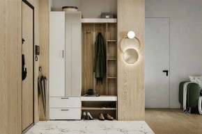 Гарнитур для прихожей Торонто в Заречном - zarechnyy.mebel24.online | фото 5