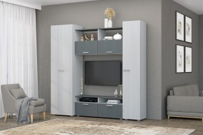 Гостиная Эмми (Анкор светлый/Графит) в Заречном - zarechnyy.mebel24.online | фото