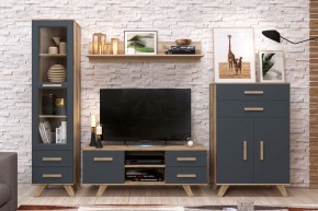 Гостиная Вега Скандинавия (комплект 7) в Заречном - zarechnyy.mebel24.online | фото 2