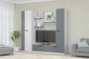 Гостиная Юджи (Анкор светлый/Графит) в Заречном - zarechnyy.mebel24.online | фото