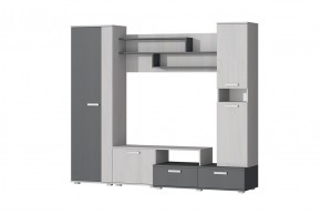 Гостиная Юна (Анкор светлый/Графит) в Заречном - zarechnyy.mebel24.online | фото