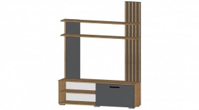 КАРОЛИНА Гостиная в Заречном - zarechnyy.mebel24.online | фото 5