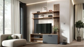 КАРОЛИНА Гостиная (дуб вотан/графит) в Заречном - zarechnyy.mebel24.online | фото