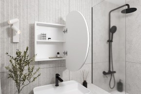 Кларити Шкаф зеркальный 16.312.04 в Заречном - zarechnyy.mebel24.online | фото 2