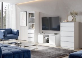 НИЦЦА-8 Комод (НЦ.08) в Заречном - zarechnyy.mebel24.online | фото 2