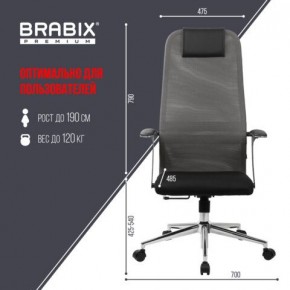 Кресло офисное BRABIX PREMIUM "Ultimate EX-801" хром, плотная двойная сетка Х2, черное/серое, 532918 в Заречном - zarechnyy.mebel24.online | фото 5