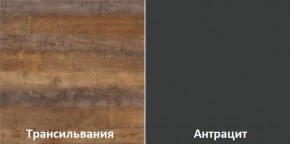 Кухонный гарнитур угловой Трансильвания 2400x1600 мм (Стол. 38 мм) в Заречном - zarechnyy.mebel24.online | фото 3