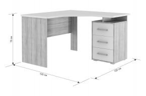 ЛАЙТ К4 Компьютерный стол в Заречном - zarechnyy.mebel24.online | фото 6