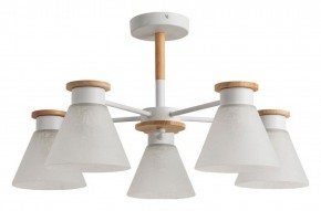 Люстра на штанге Arte Lamp Tyler A1031PL-5WH в Заречном - zarechnyy.mebel24.online | фото 4