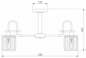 Люстра на штанге Eurosvet Tenia 70090/5 графит в Заречном - zarechnyy.mebel24.online | фото 4