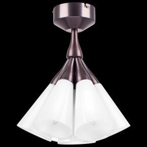 Люстра на штанге Lightstar Cone 757070 в Заречном - zarechnyy.mebel24.online | фото 8