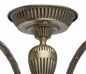 Люстра на штанге MW-Light Аманда 6 481011805 в Заречном - zarechnyy.mebel24.online | фото 10