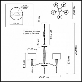 Люстра на штанге Odeon Light Latte 5403/5 в Заречном - zarechnyy.mebel24.online | фото 7