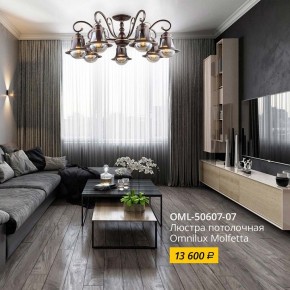 Люстра на штанге Omnilux Molfetta OML-50607-07 в Заречном - zarechnyy.mebel24.online | фото 2