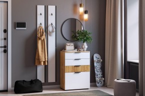 МЕБЕЛЬСОН К21 Прихожая в Заречном - zarechnyy.mebel24.online | фото