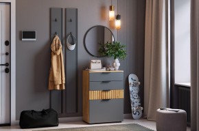 МЕБЕЛЬСОН К21 Прихожая  (графит) в Заречном - zarechnyy.mebel24.online | фото