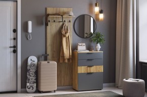 МЕБЕЛЬСОН К3 Прихожая в Заречном - zarechnyy.mebel24.online | фото 2