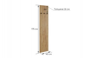 МЕБЕЛЬСОН К6 Прихожая в Заречном - zarechnyy.mebel24.online | фото 6