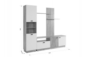 МОДИ К1 Гостиная (белое дерево) в Заречном - zarechnyy.mebel24.online | фото 2