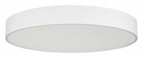 Накладной светильник Arlight TOR PILL 022132(4) в Заречном - zarechnyy.mebel24.online | фото