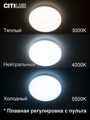 Накладной светильник Citilux Симпла CL714330G в Заречном - zarechnyy.mebel24.online | фото 4